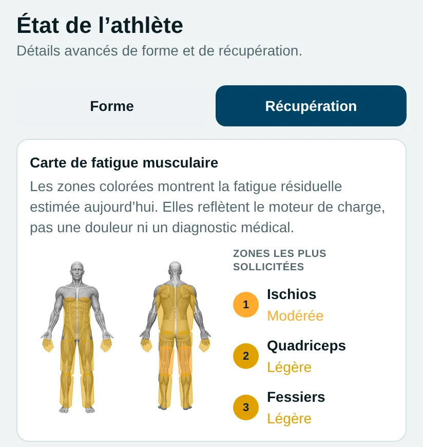 Écran Récupération de l’application : carte de fatigue musculaire de face et de dos, avec les zones les plus sollicitées